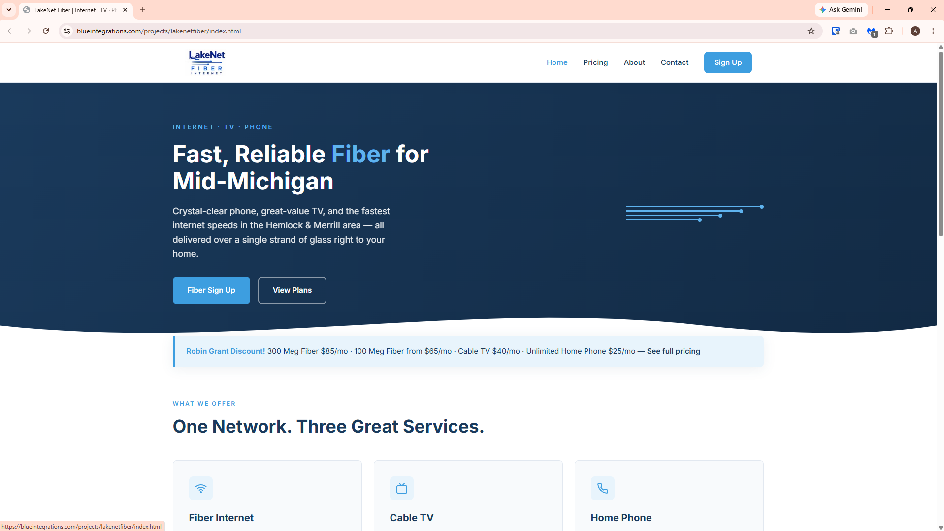 LakeNet Fiber website layout