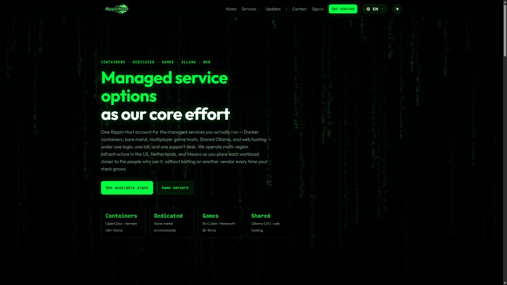 RippinHost website layout
